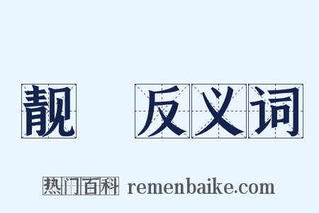 靓袨反义词是什么意思的图片